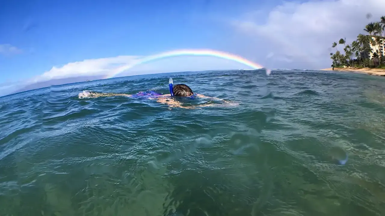 Snorkeling off Kaanapali Beach on the island of Maui, Hawaii.