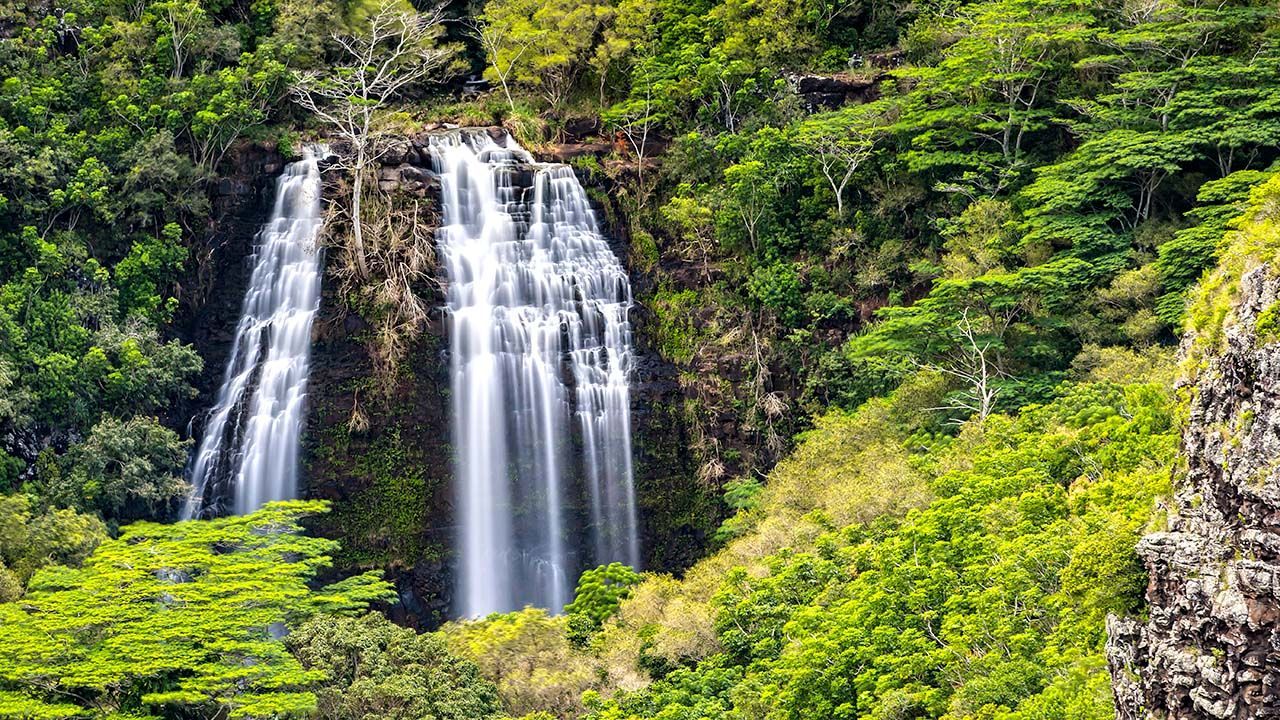 Looking for the best waterfalls on the island of Kauai? Check out our list of the top 5.