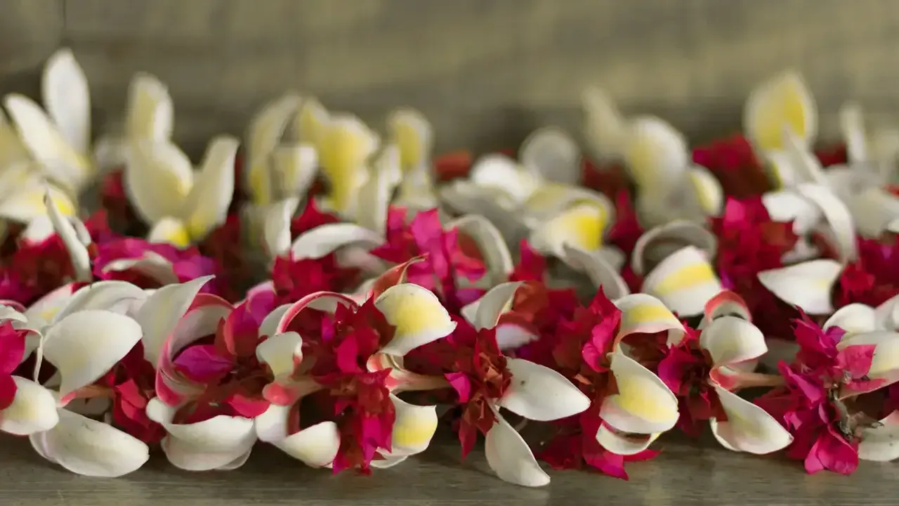 Learn which what flowers and other materials are used in making Hawaiian leis. with This Week Hawaii.