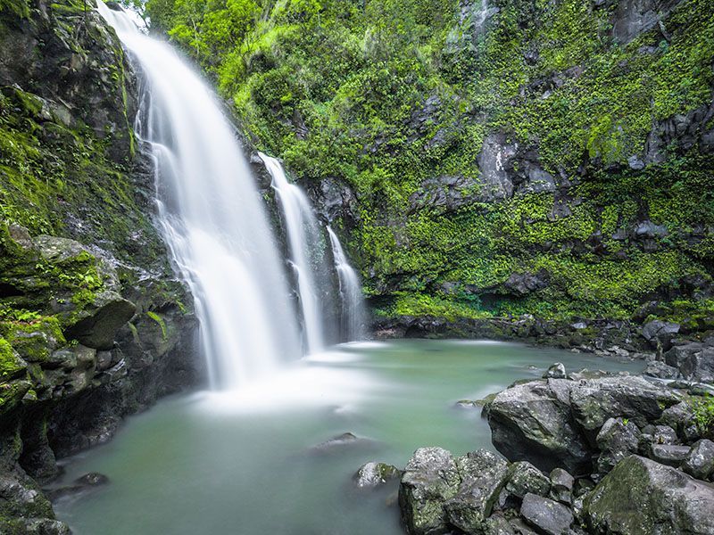 A waterfall in the middle of a lush green forest surrounded by rocks and trees.