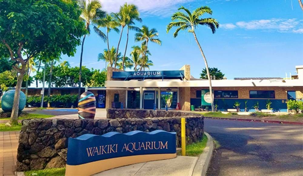 Waikiki Aquarium