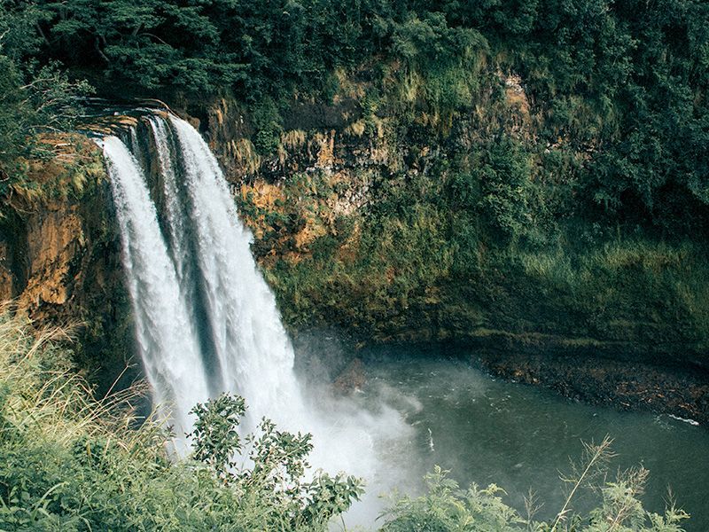 A waterfall in the middle of a lush green forest