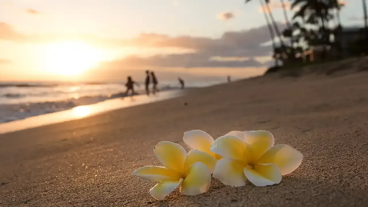 Do you know the best times to visit Hawaii for weather and events?