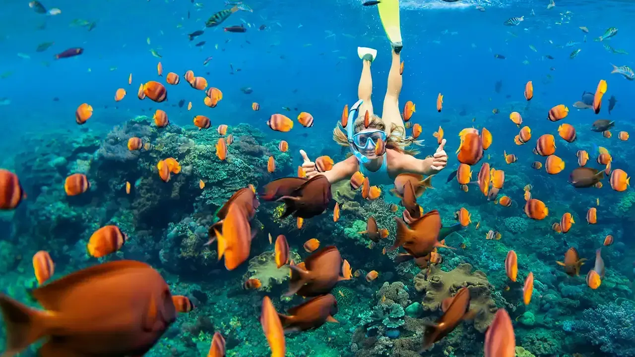Discover everything you should know about snorkeling during a Hawaii vacation.