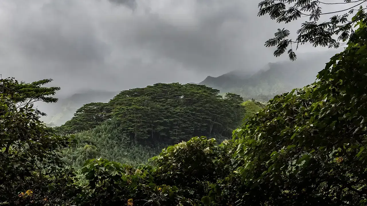 When is Hawaii's rainy season?
