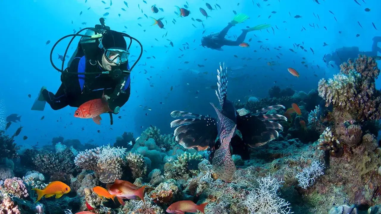 Discover which Hawaiian island is best for a beginner scuba diver.
