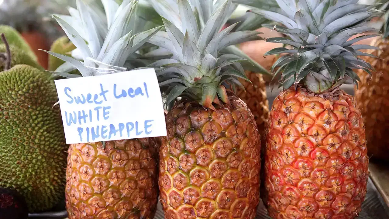 White pineapple from Hilo Farmers Market on the Big Island of Hawaii.