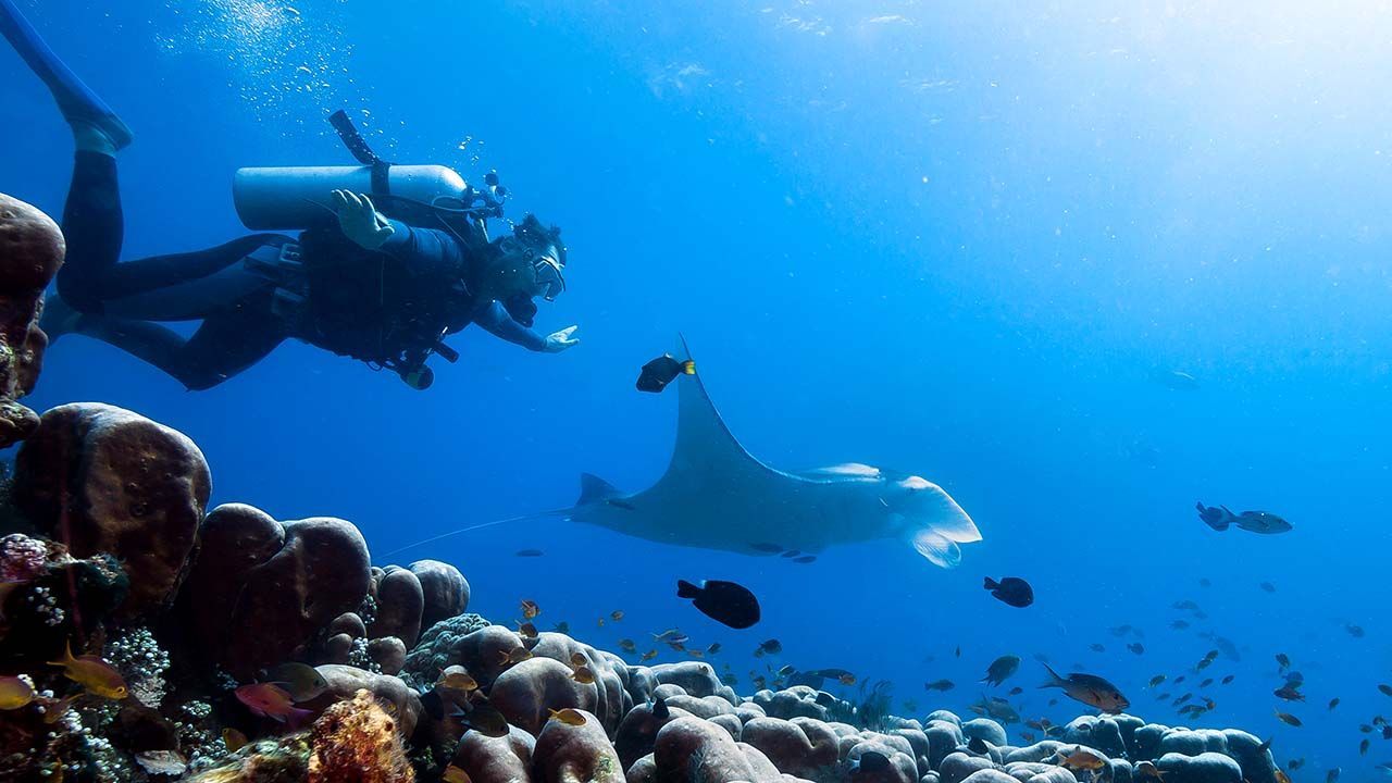 Why should you go scuba diving when visiting Hawaii?