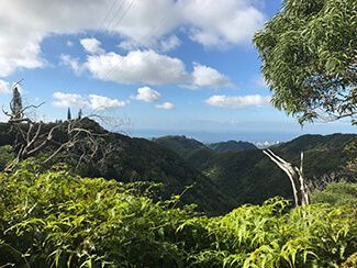 Wiliwilinui Trail 2