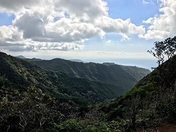 Wiliwilinui Trail 4