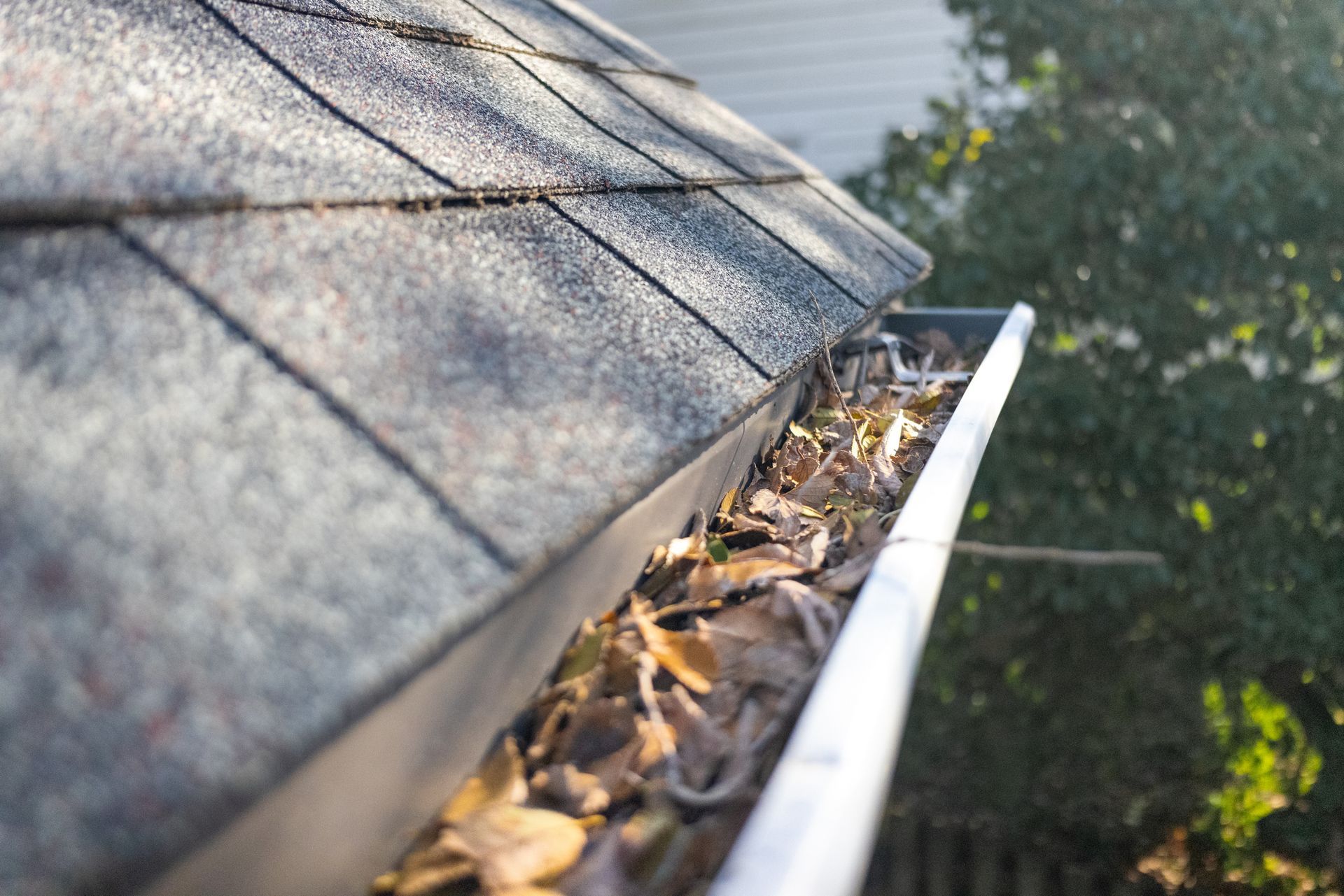 A gutter filled with leaves on the roof of a house.