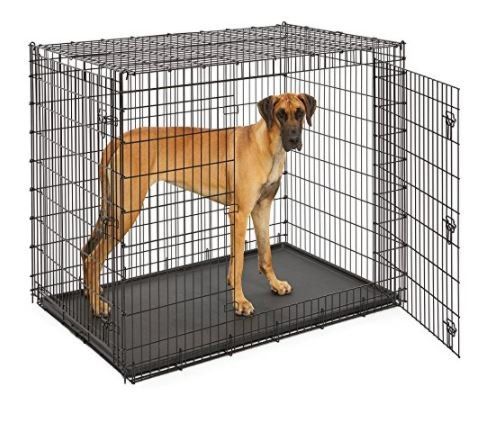 Great Dane Sized Kennel