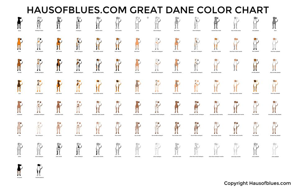 Haus of Blues Great Dane Color Chart