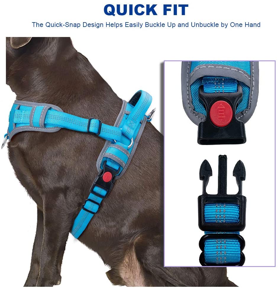 Quick Fit Harness