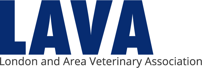 lava logo