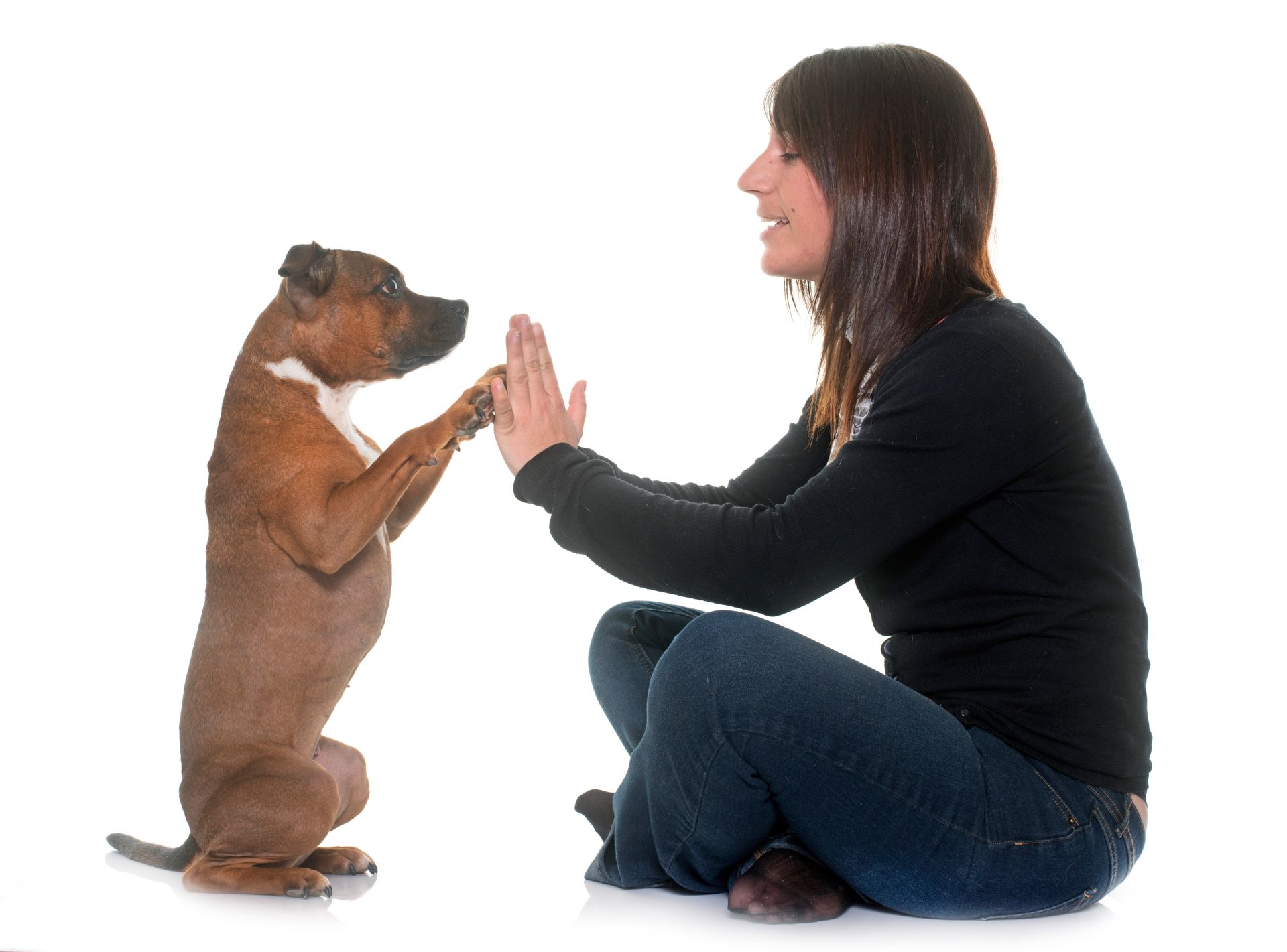 a veterinarian is standing next to a dog with a ball in its mouth .