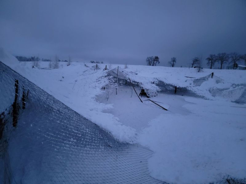 Pivot Kennels