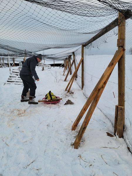 Pivot Kennels