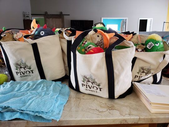 Pivot Kennels