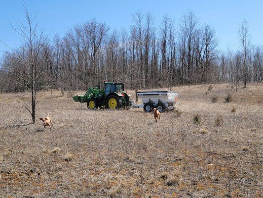 Pivot Kennels
