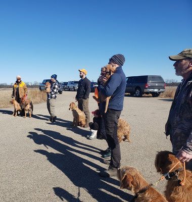 Pivot Kennels