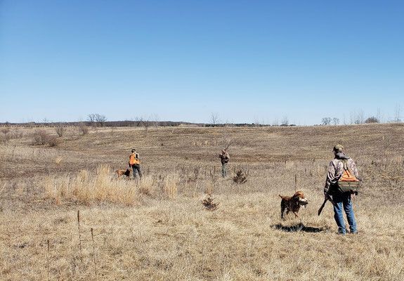 Pivot Kennels