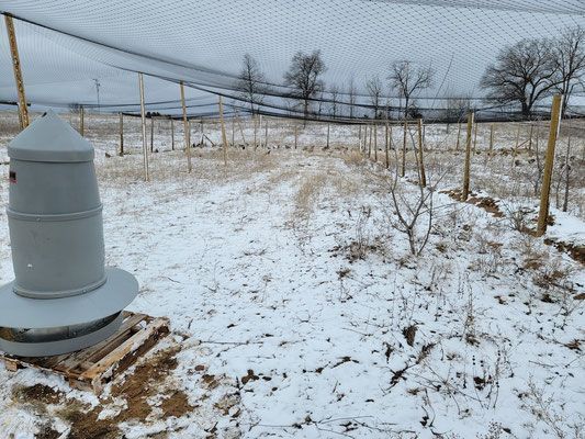 Pivot Kennels