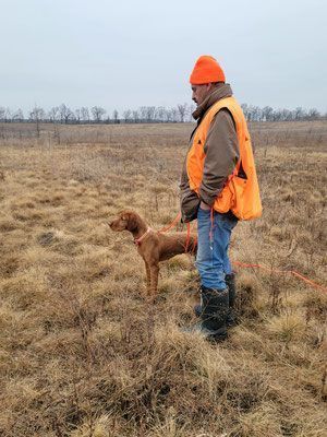 Pivot Kennels
