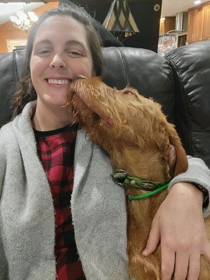 Pivot Kennels