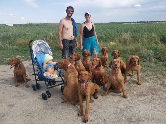 Pivot Kennels