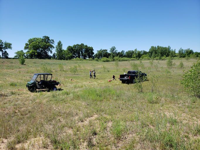 Pivot Kennels