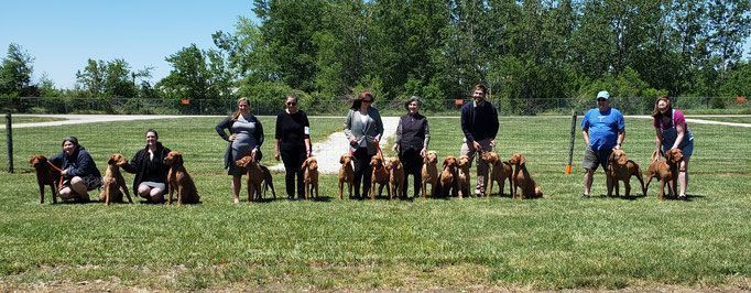 Pivot Kennels