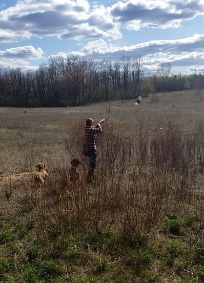 Pivot Kennels