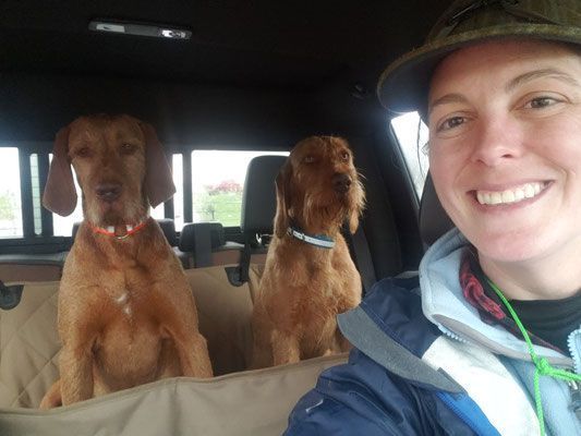 Pivot Kennels