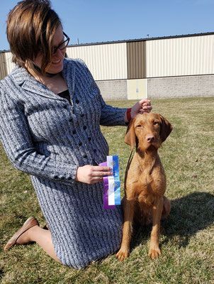 Pivot Kennels
