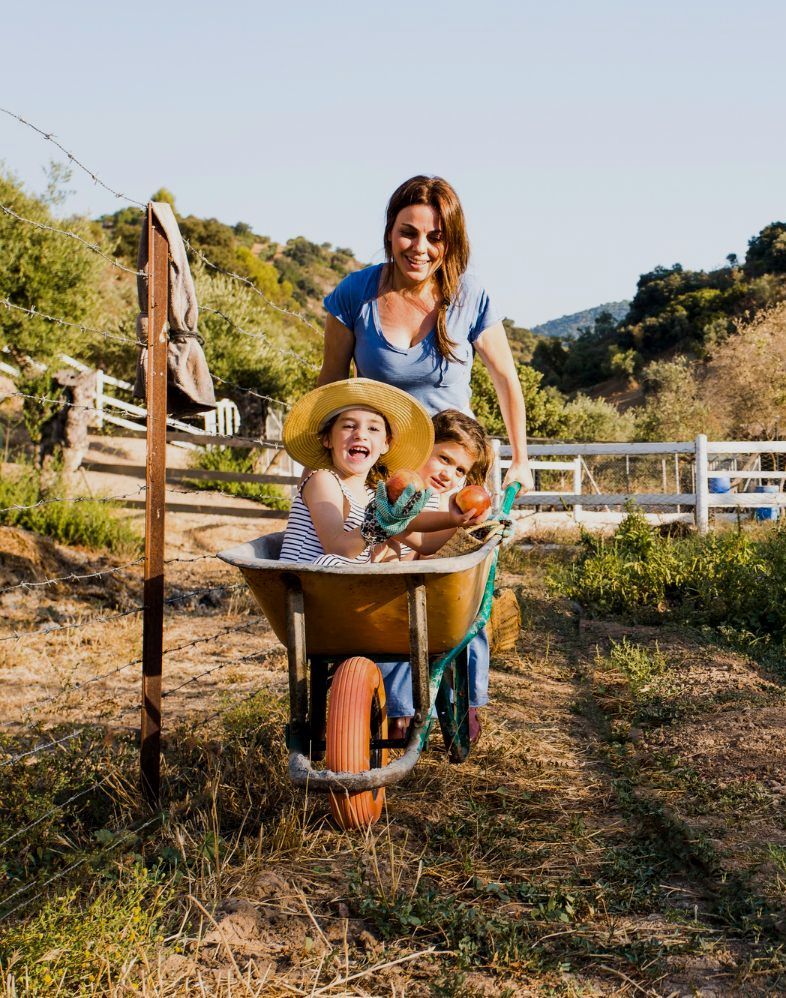 An elderly couple and a young girl are sitting on a park bench.
