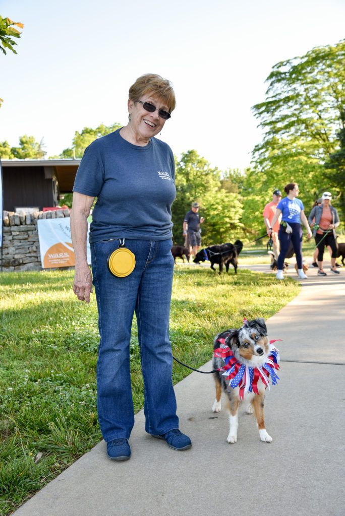 alt: Festively dressed Australian Shepherd on a leash