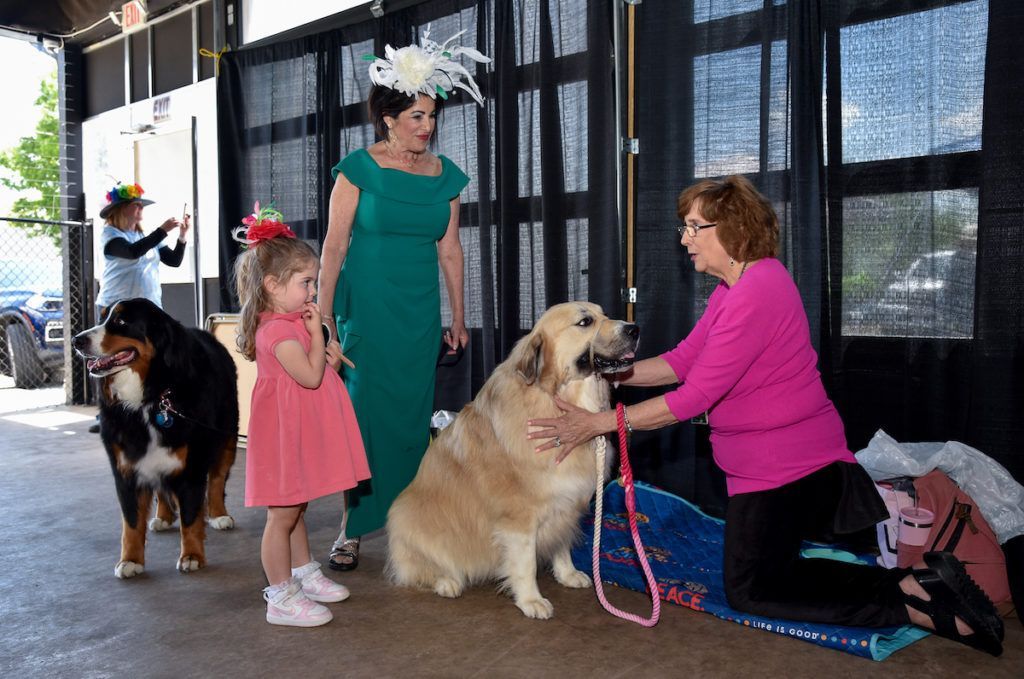 Members calming the nerves or two therapy pets outside of the event.