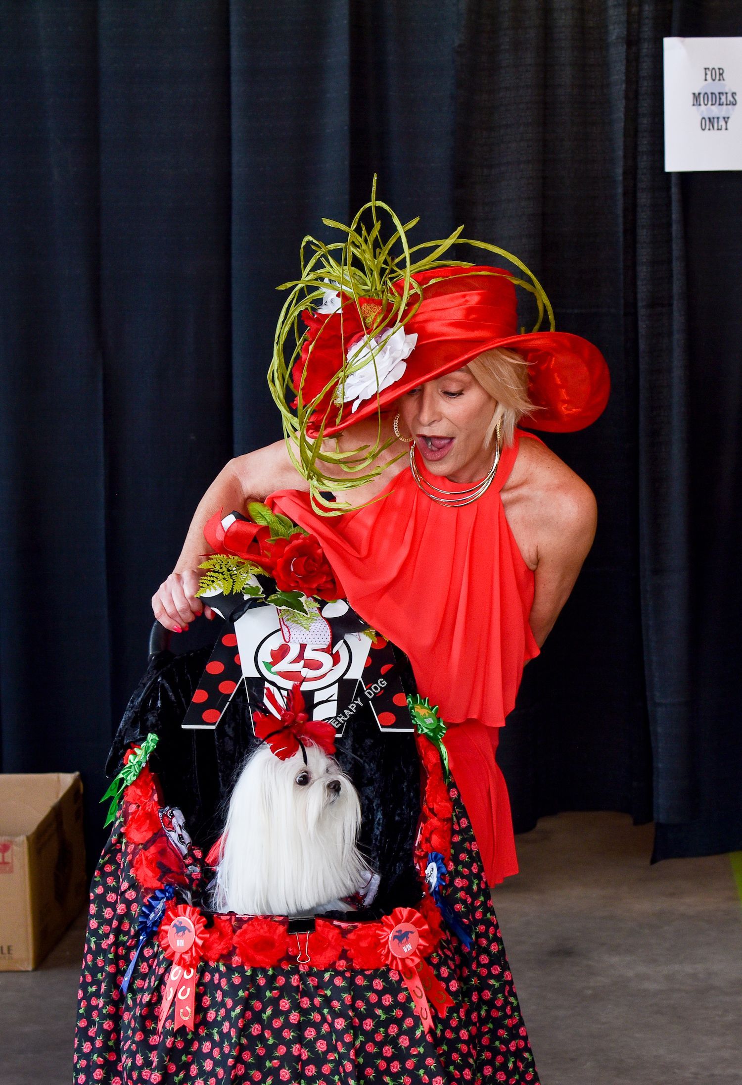 Beautiful red outfits for both our model and our own little Maltese, Maggie