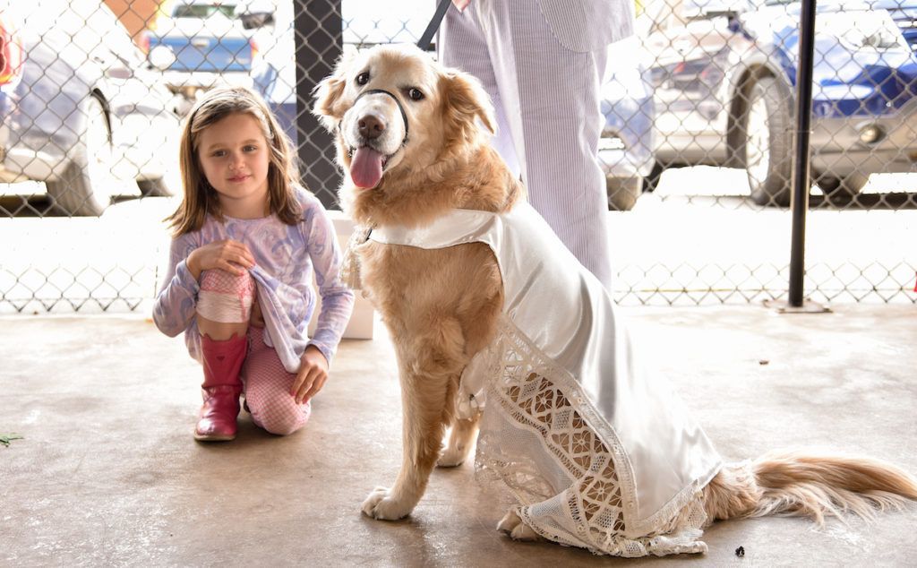 Dog sitting in linen dress with a child unlooking