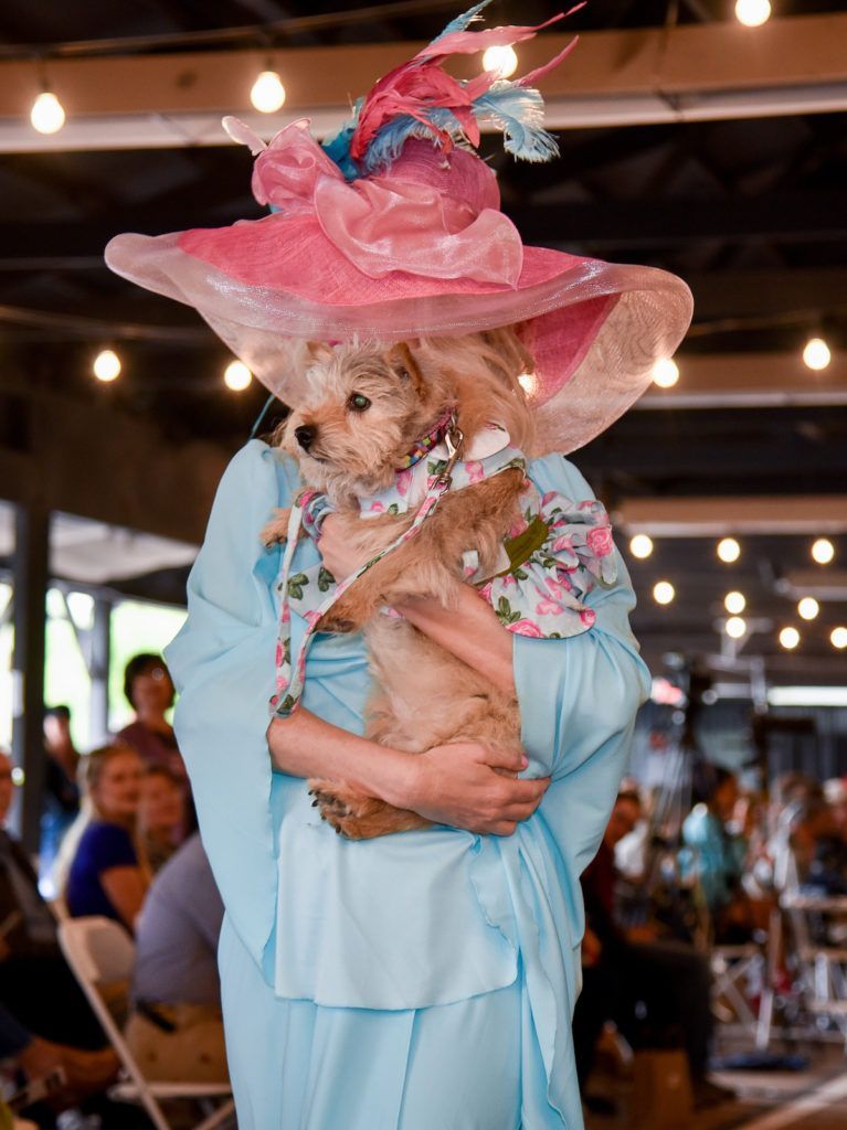 Model in large brim derby hat snuggles with a Norwich Terrier