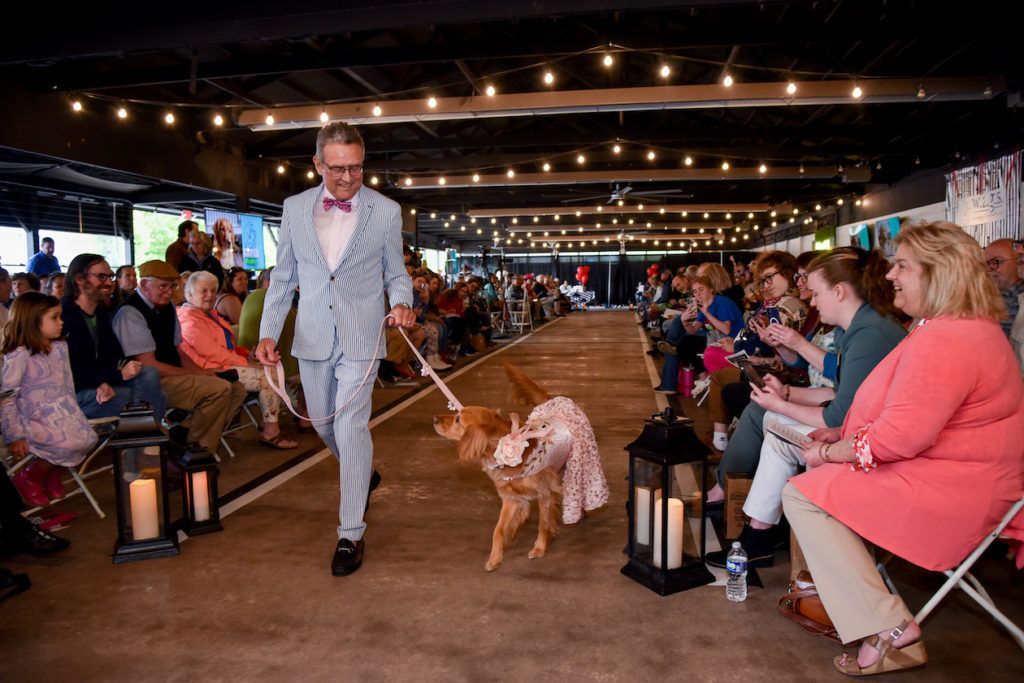 A man is walking a dog down a runway at a fashion show.