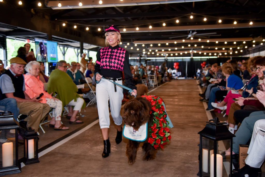 A woman is walking a dog down a runway at a fashion show.