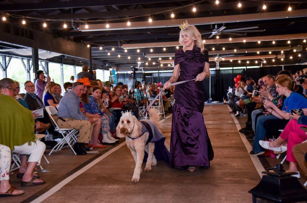 Runway Doodle for WAGS