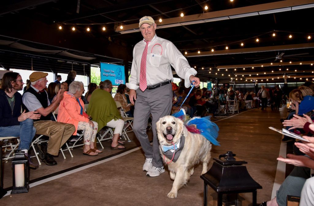 Pegasus Golden Retriever