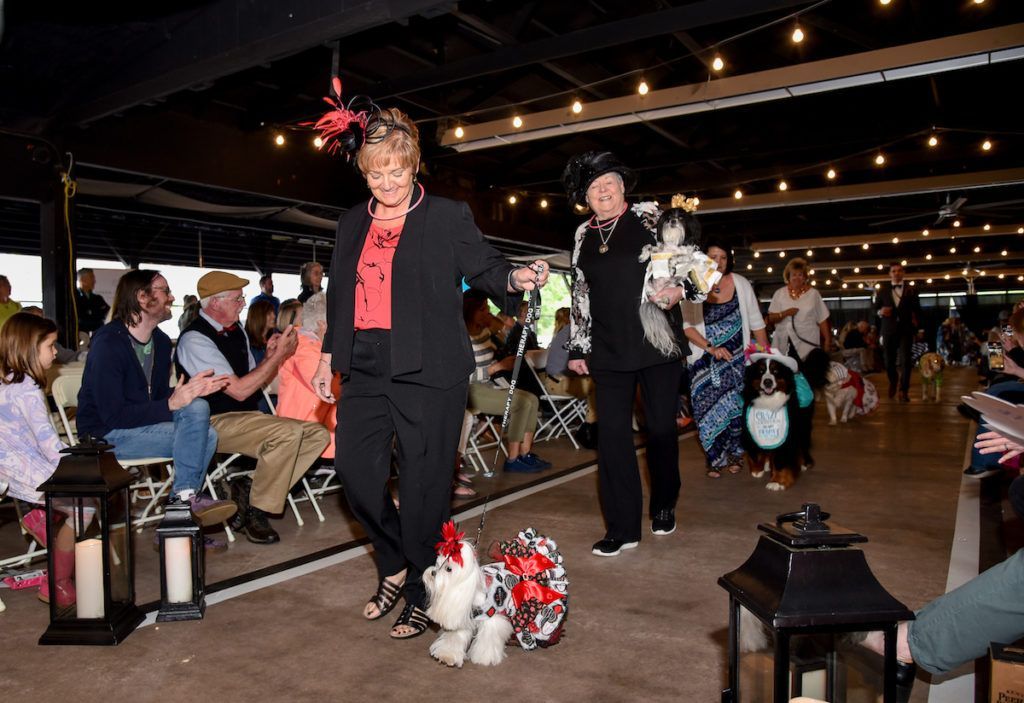 Gorgeous Purple Dress on elegant model and WAGS doodle