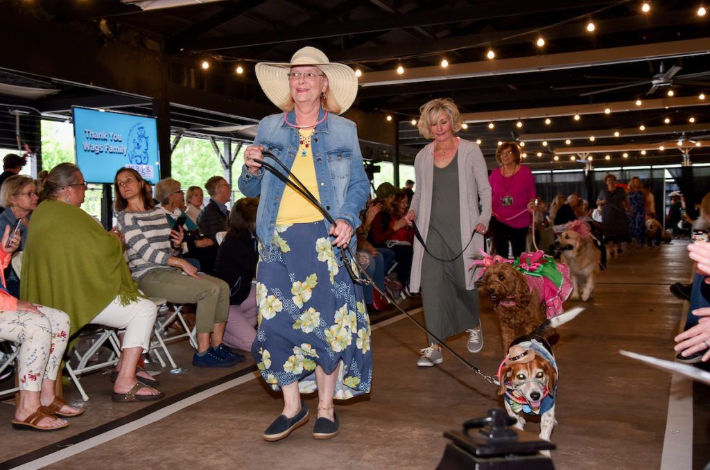 Beagle rocking a denim cowboy outfit