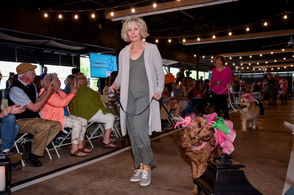 Labradoodle in pink formal with a fascinator