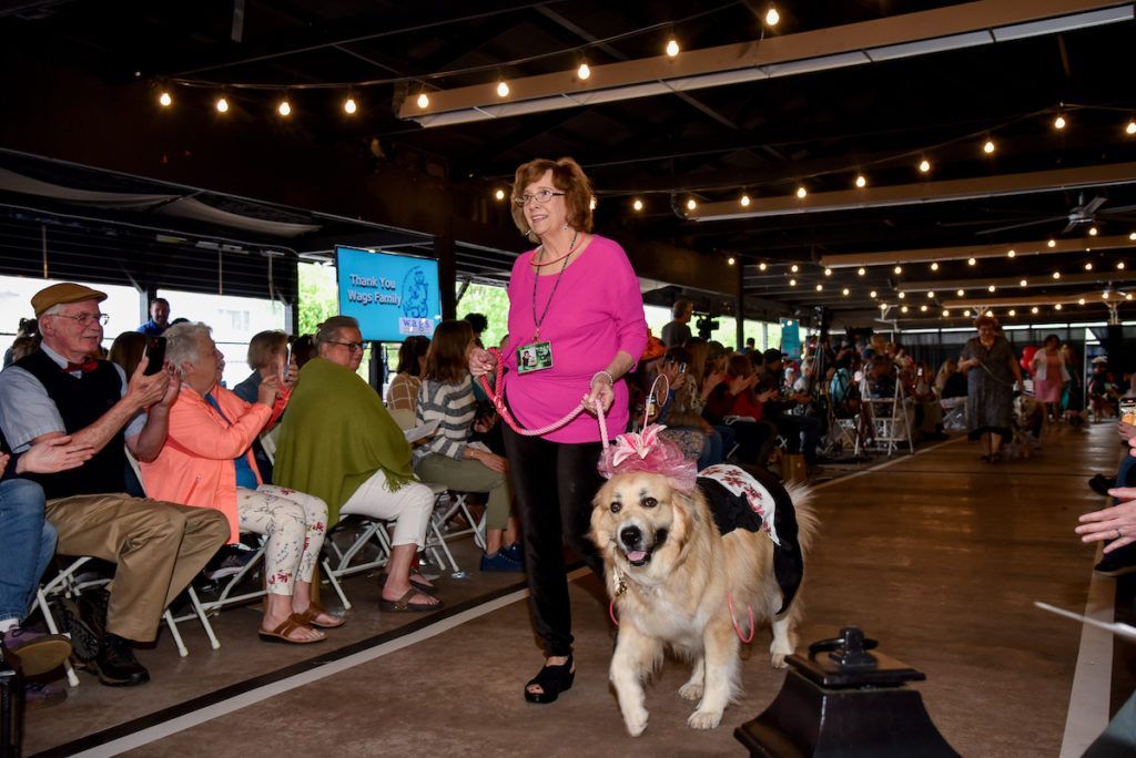 Black evening dress on Great Pyrenees Team