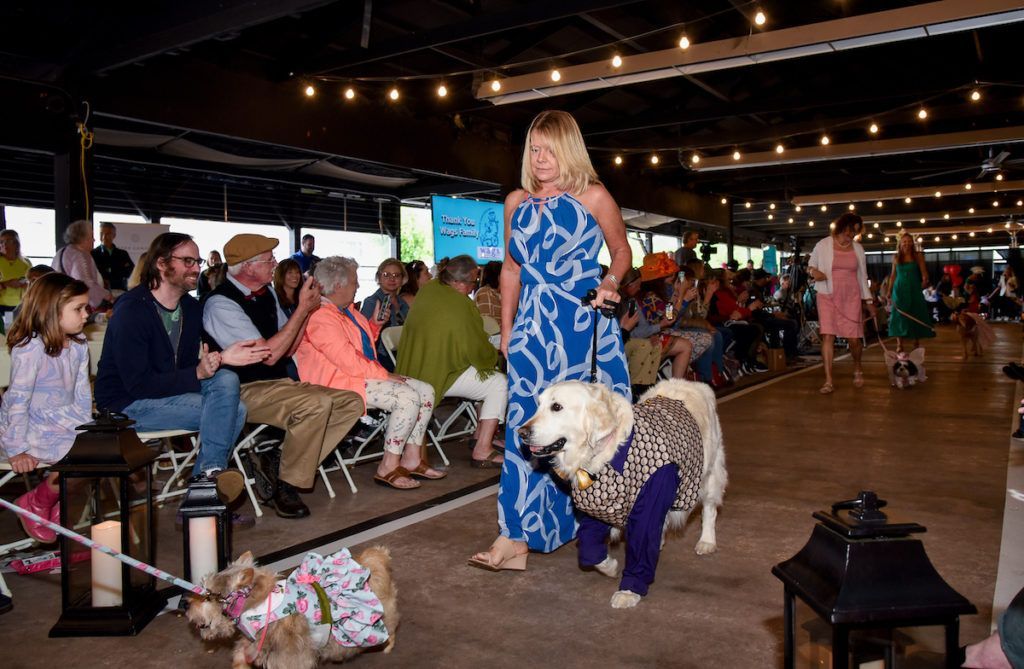 Black evening dress on Great Pyrenees Team